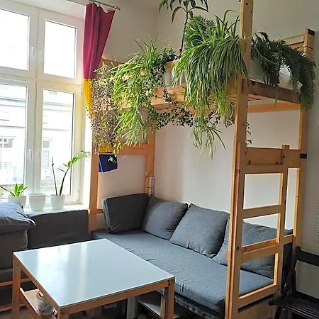 Evergreen Краков