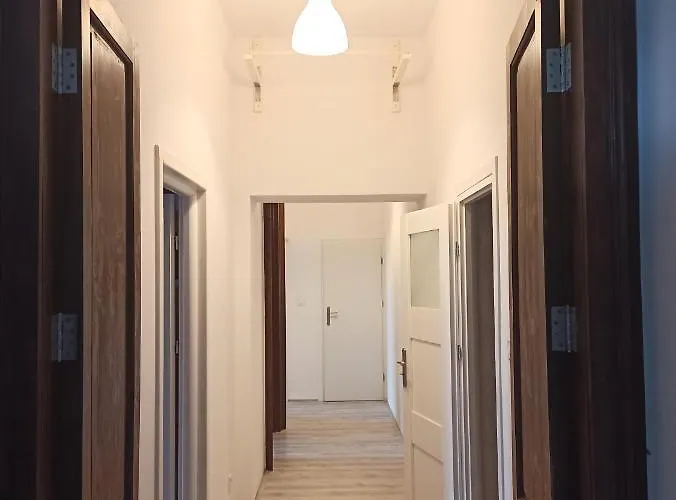 Evergreen * كراكوفيا