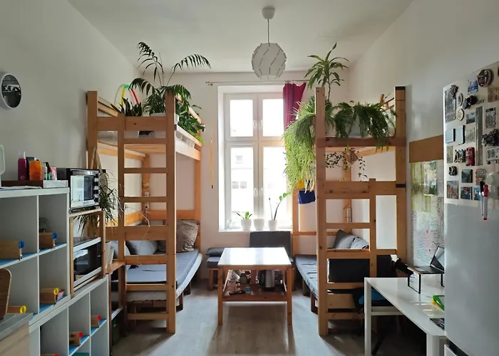 Evergreen * كراكوفيا